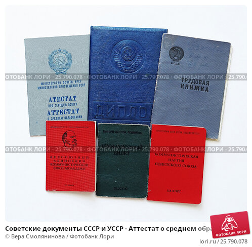 Купить диплом 2014 - Практическое руководство